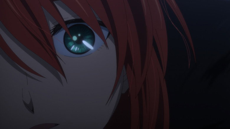 Still from The Ancient Magus' Bride - Season 2 Episode 24