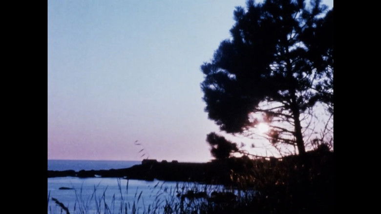 Gallery image from 3tvKtpNaGuolVh6ZIUXNluzJk46.jpg