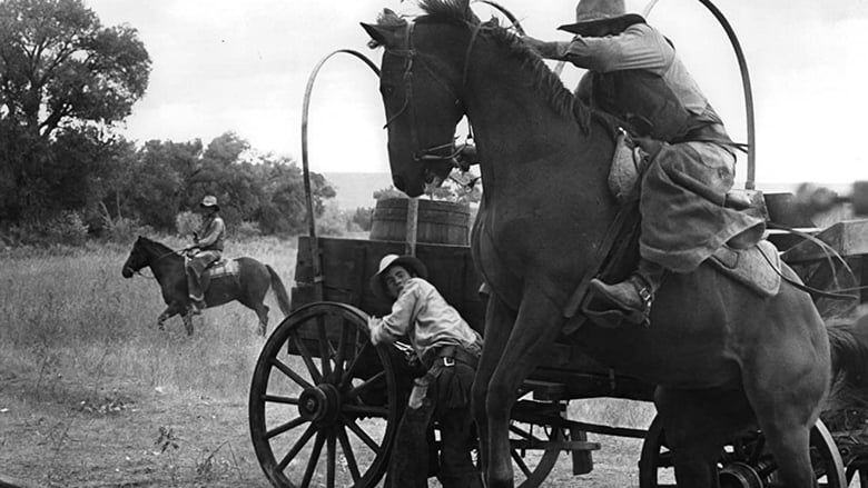 The Culpepper Cattle Co. movie poster