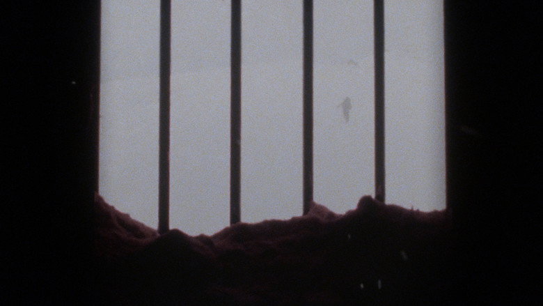 Frame from El que duri la neu