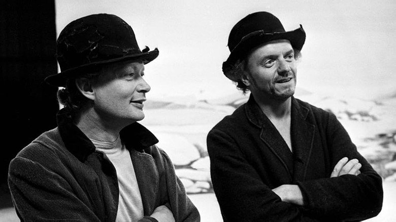 I väntan på Godot 1