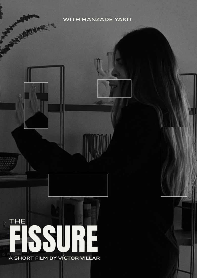 Imatge de THE FISSURE