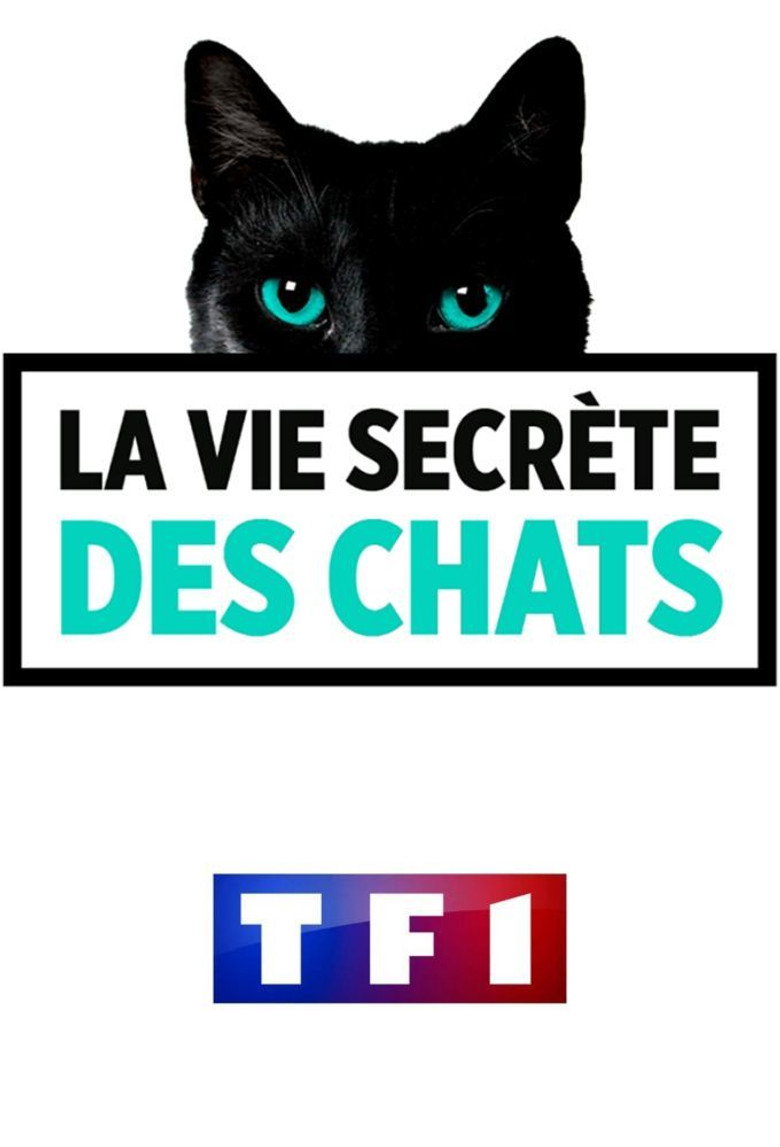 La Vie secrète des chats (2017) poster