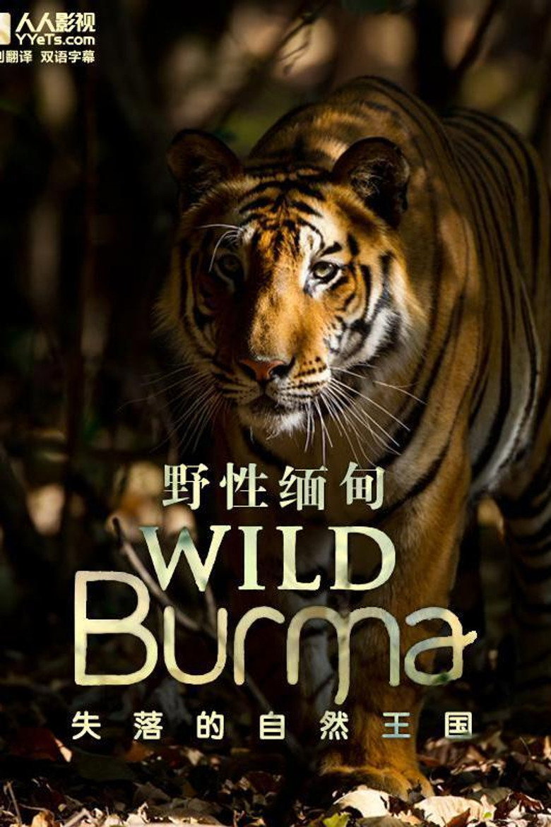📖 名称：野性缅甸：失落的自然王国 📅 年份：2013 - 光鸭·臻影社-光鸭·臻影社