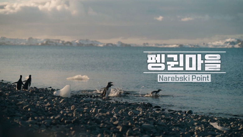 Still image for Chef of Antarctica season 1 episode 3: Episode 3 Still image for Chef of Antarctica season 1 episode 3: Episode 3