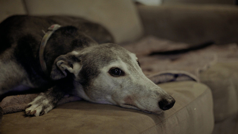 Going to the Dogs (2025)