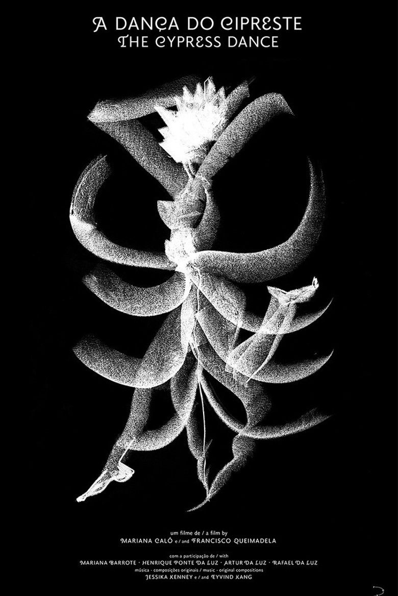 Imatge de A Dança do Cipreste