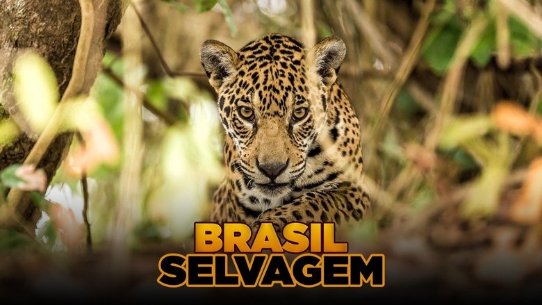 Gallery image from 3xfcS4ukaApprH9YgSK4EAZoRS9.jpg