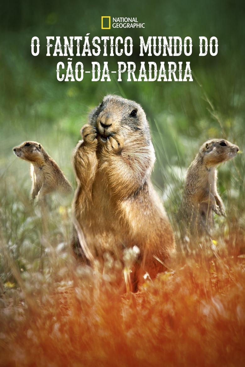 O Fantastico Mundo do Cao da Pradaria 2019 (2019)