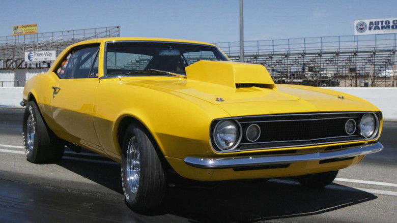 Roadkill Garage 2×7