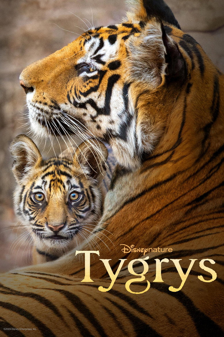 Plakat filmu Tygrys