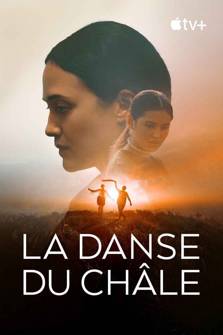 Póster la Película