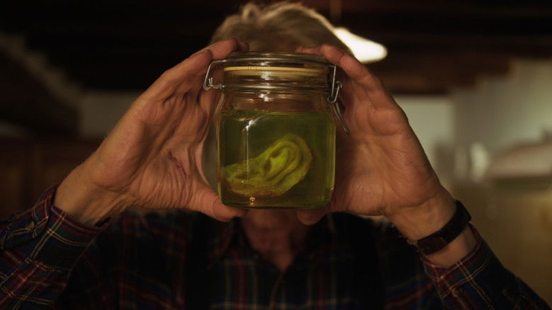 Gallery image from 3zirKsw3uPHT87lCdZv7Zcn62oB.jpg