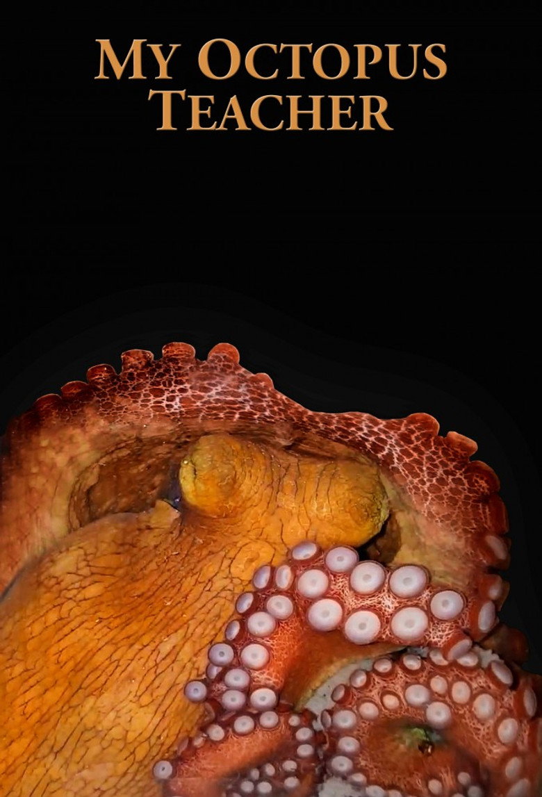 Imatge de My Octopus Teacher