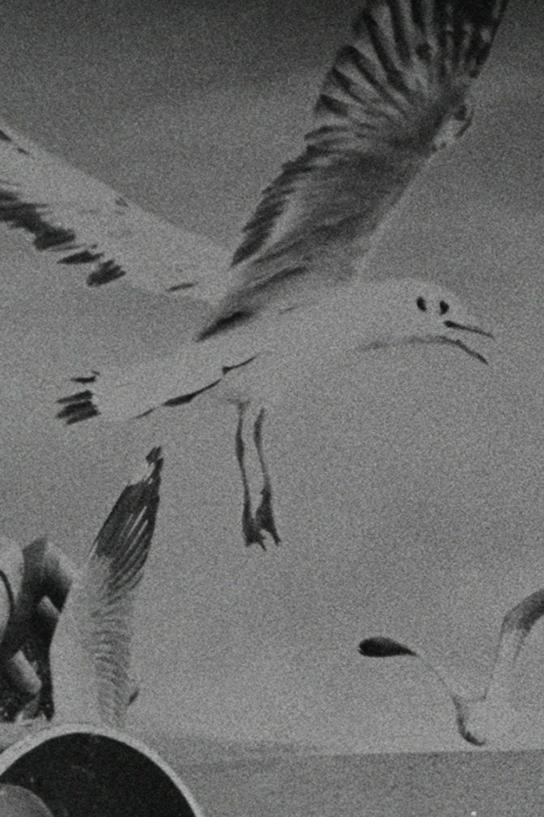 Imatge de โลคอลเซนเซชันส์