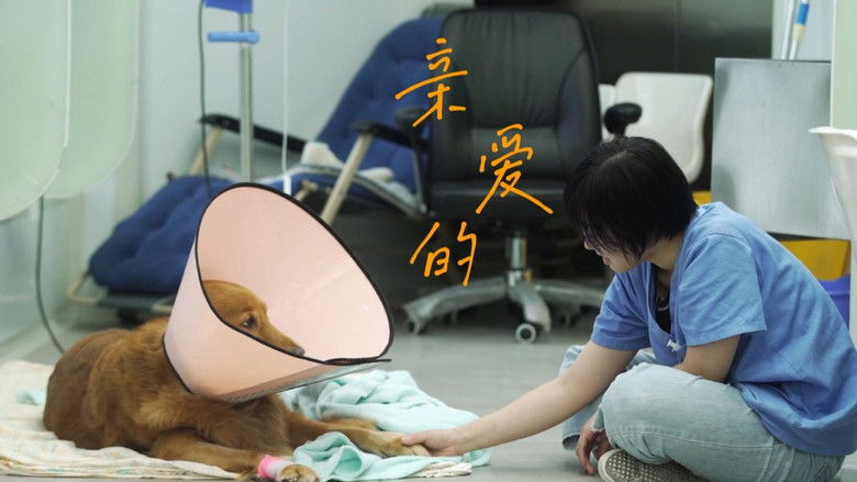 Still image for 今生，请多指教 season 1 episode 1: Episode 1