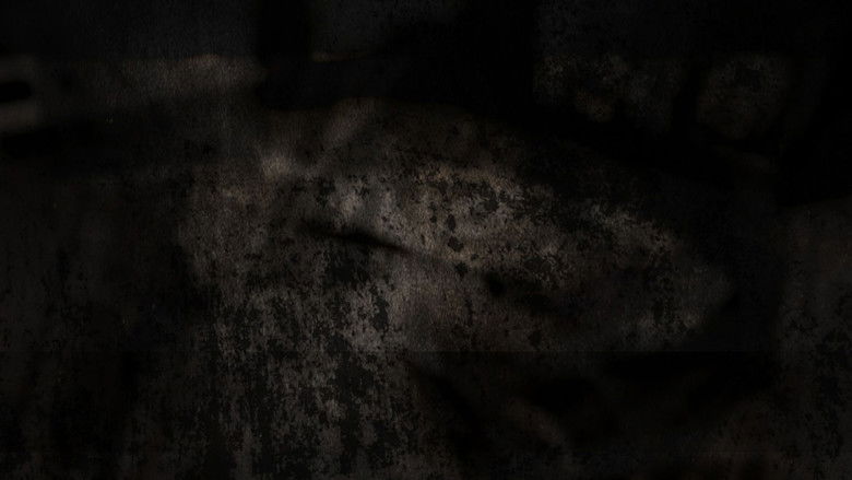 Backdrop 1