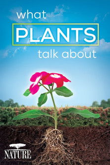 What Plants Talk About (2013)
