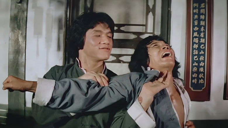 Imatge de 少林木人巷