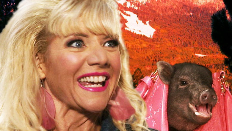 Gallery image from 41LJJ4JeLY1cuN9UXXU8tl02G24.jpg