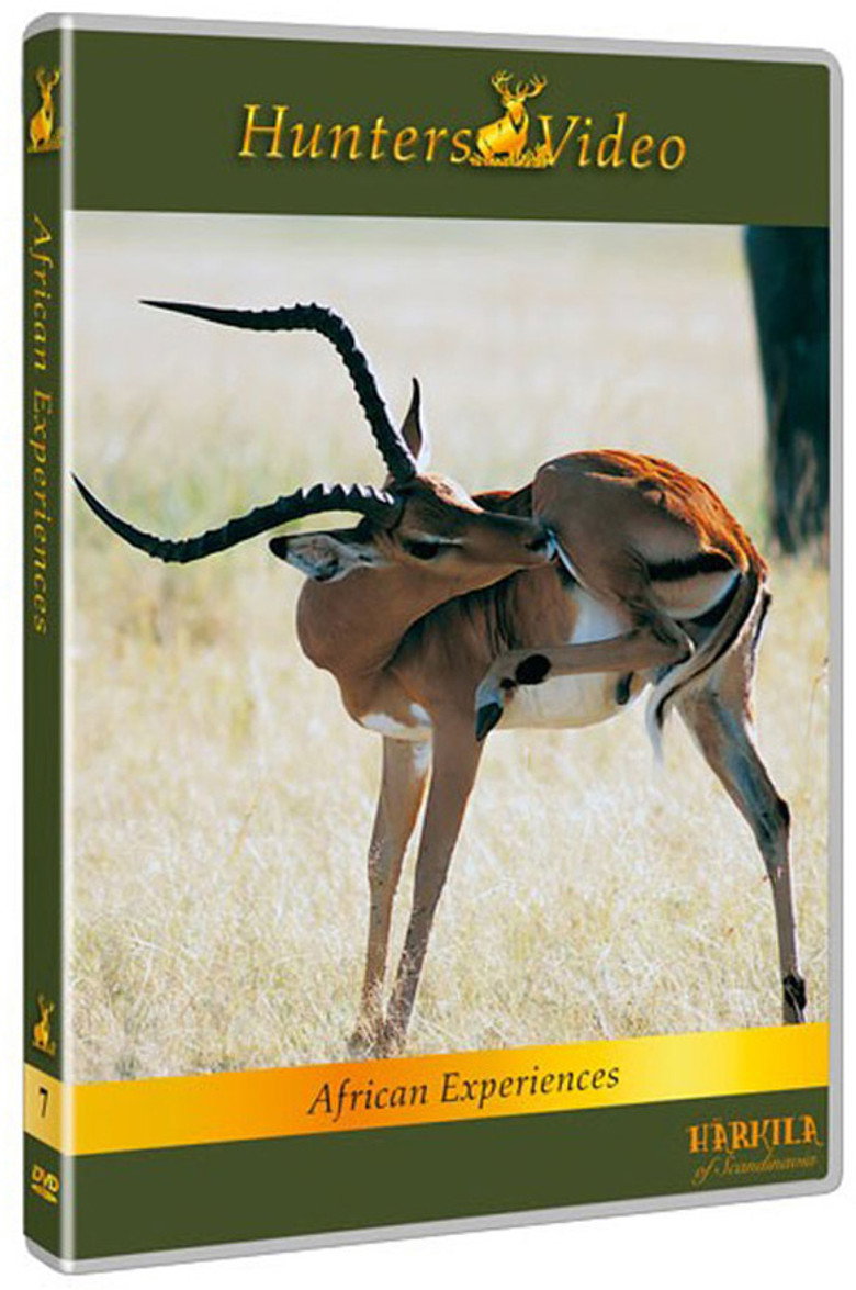 African Experiences background
