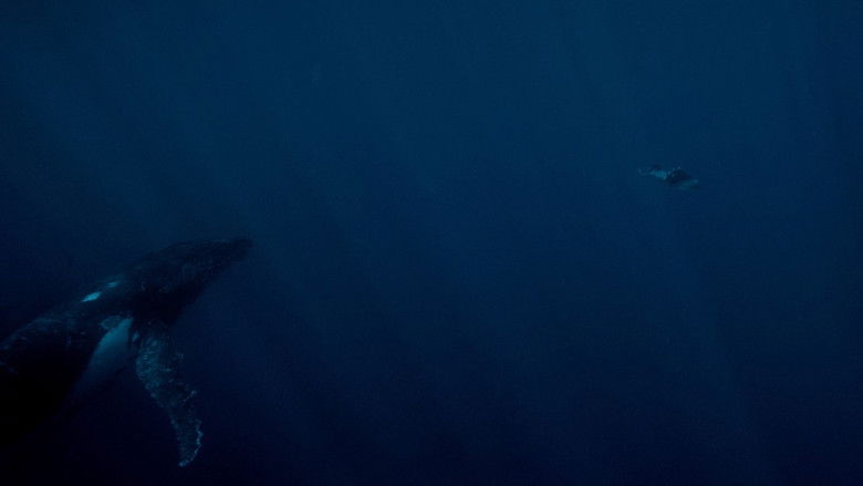 Gallery image from 42W60G33L8mThlXAMDZ6XwI975D.jpg