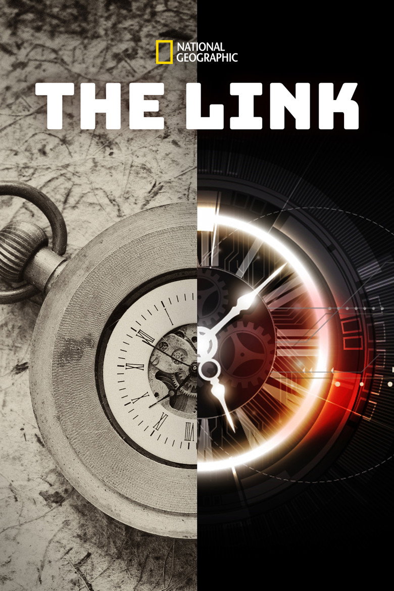 The Link