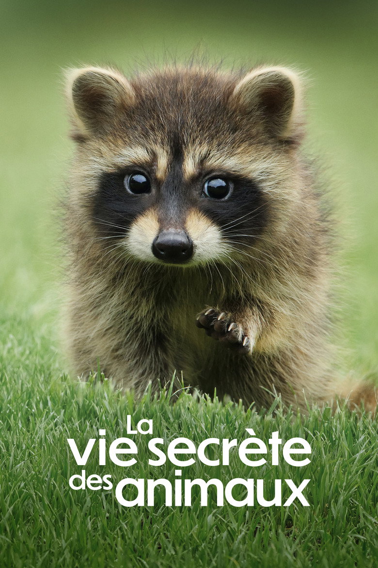 Póster la Serie