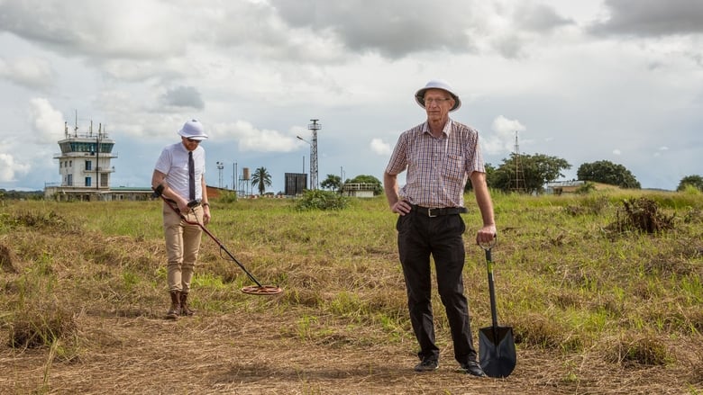 Cold Case Hammarskjöld (2019)