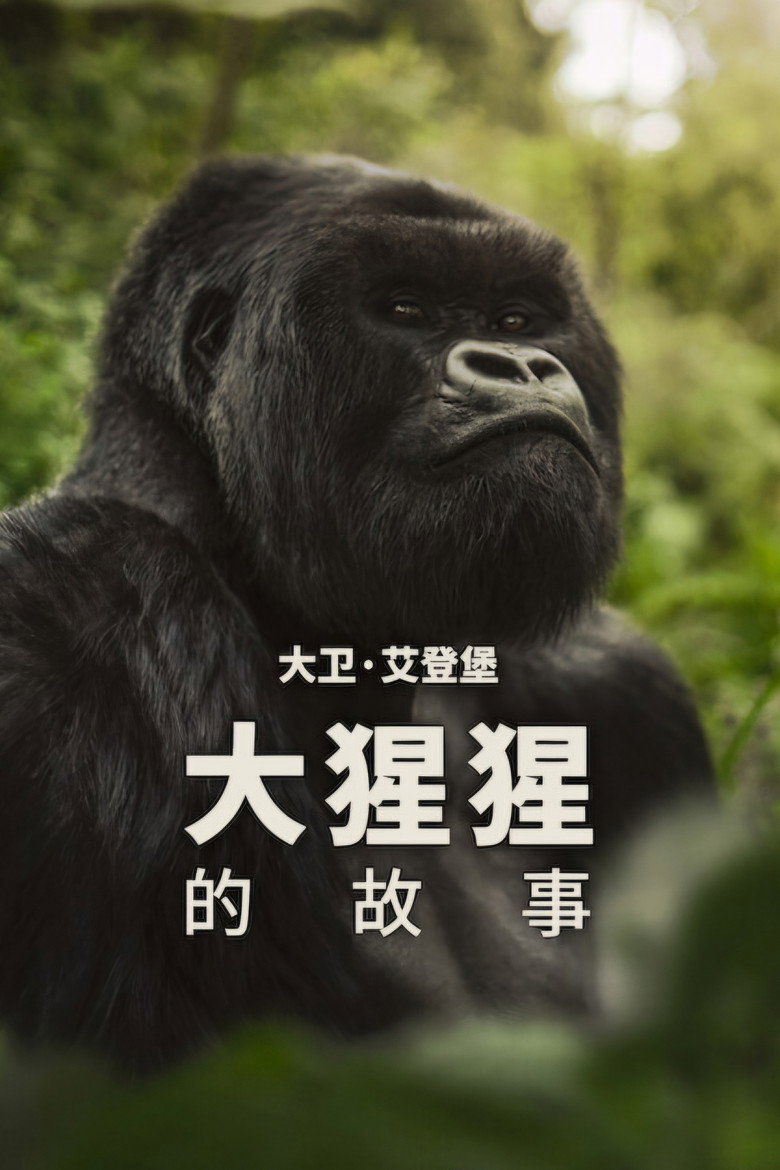 大卫·艾登堡：大猩猩的故事 封面海报