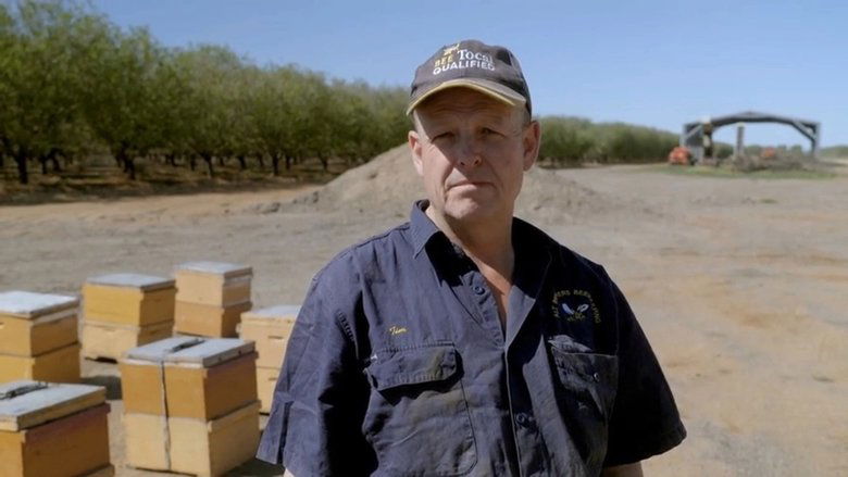 Outback Truckers 11×5