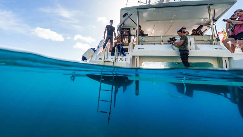 Gallery image from 44l4qmOLd0LkvSukEYMVZazI7rl.jpg