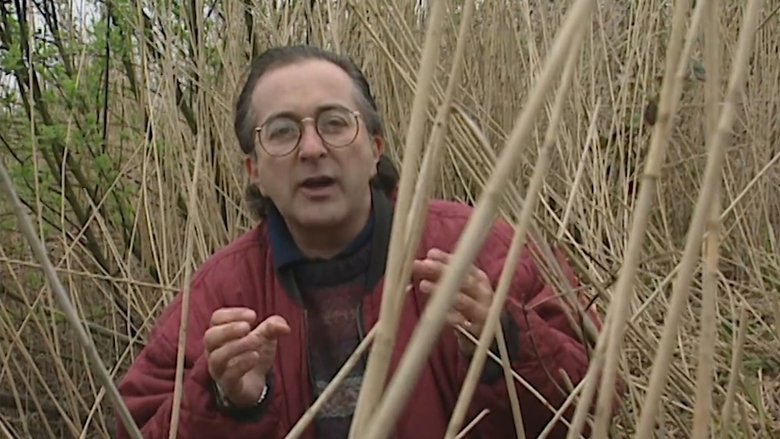 Still image for Time Team season 1 episode 1: The Guerrilla Base of the King - Athelney, Somerset Still image for Time Team season 1 episode 1: The Guerrilla Base of the King - Athelney, Somerset