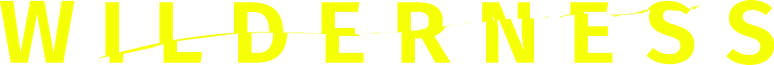 Imagen 14