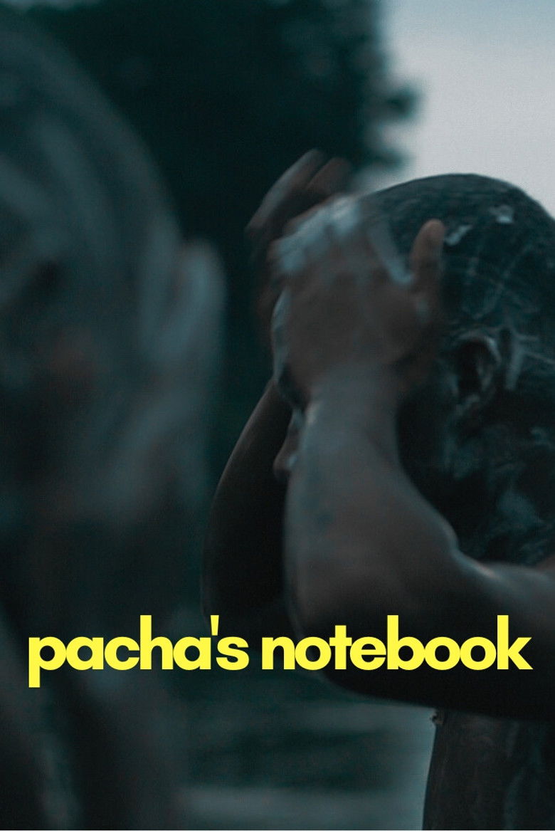 Imatge de O Caderno de Pacha