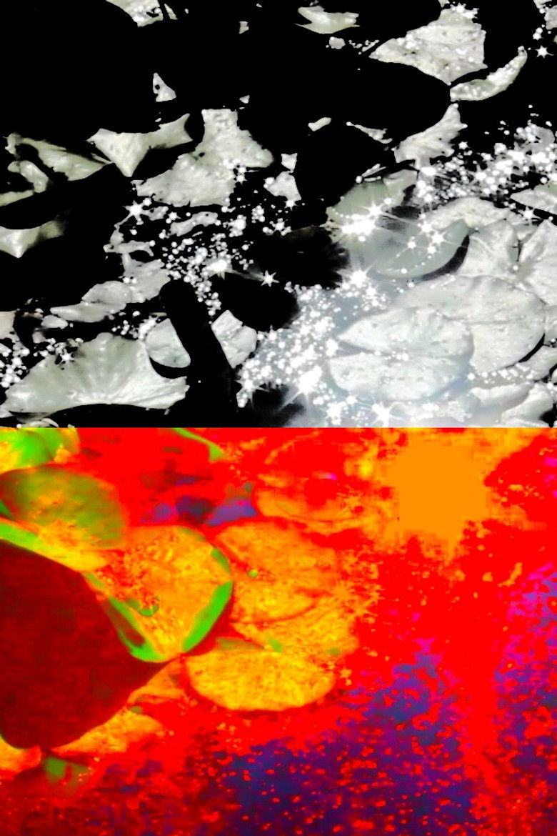 Imatge de Devolution / A.K.A. Rest In Peace