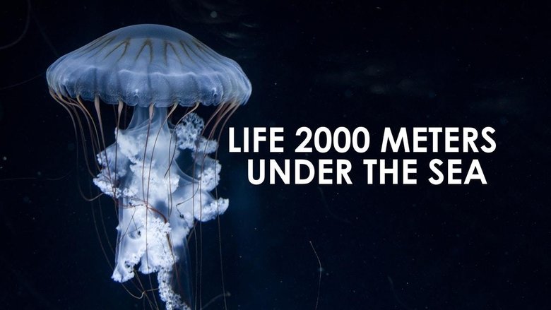 Life 2,000 Meters Under the Sea movie poster