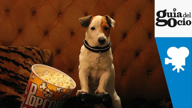 Pancho, el perro millonario