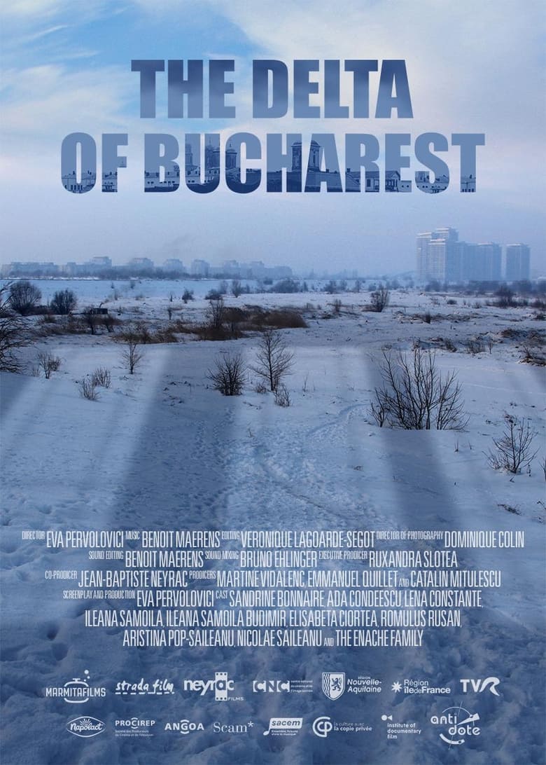 Delta Bucureștiului (2020)
