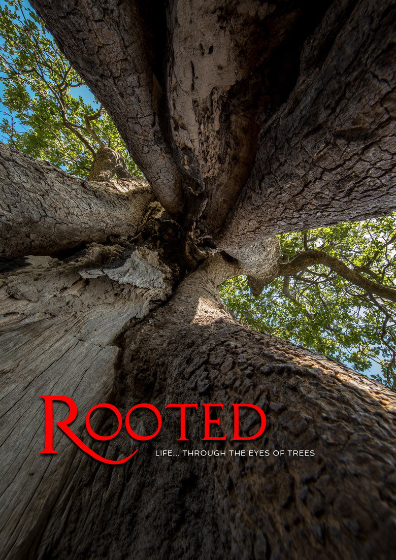 Rooted poster