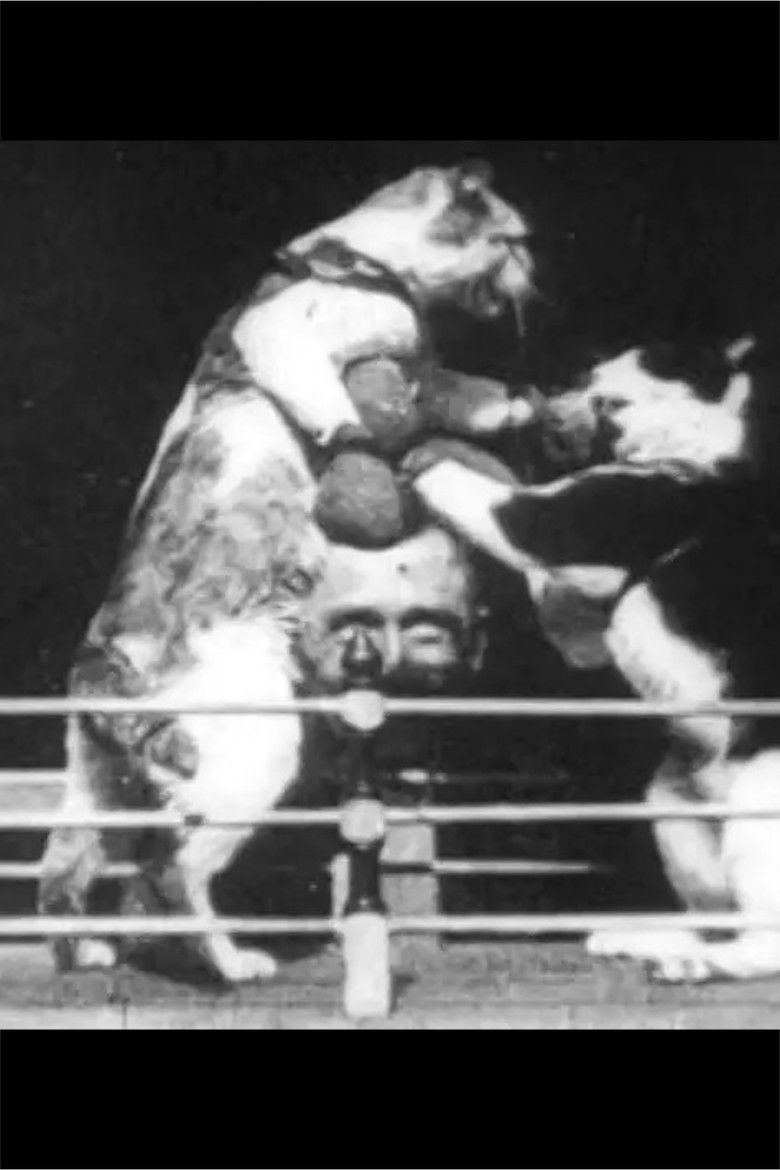 Imatge de Prof. Welton's Boxing Cats