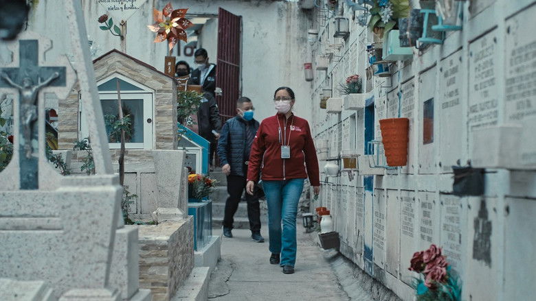 The Prosecutor: 1×1