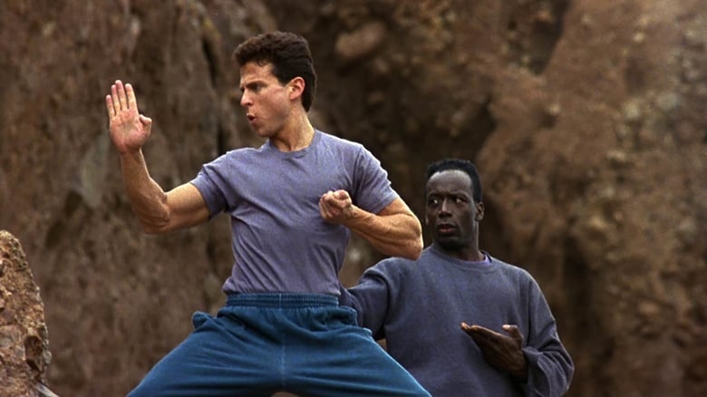 American Karate Tiger (1993)
