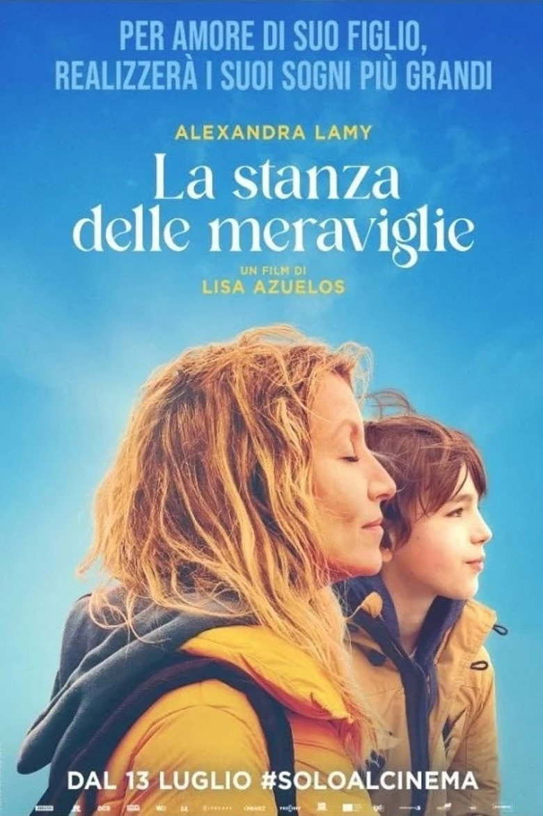 Copertina di La stanza delle meraviglie