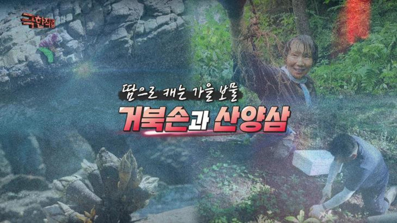 Still image for Extreme Job season 1 episode 1200: Episode 1200