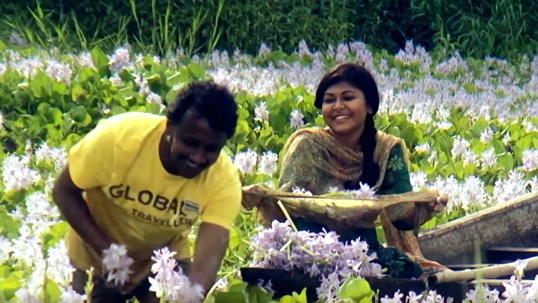 Backdrop for The Director