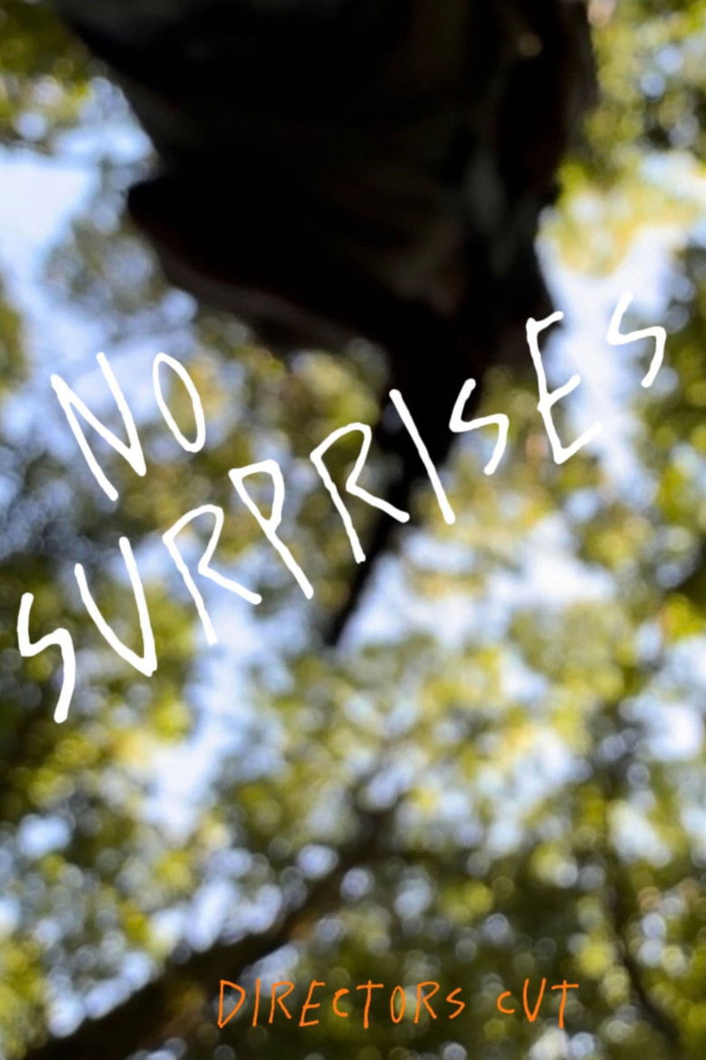 Imatge de No Surprises