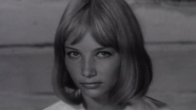 Gallery image from 4Agr9AJKhn2V9JIbK90W3x2cAC6.jpg