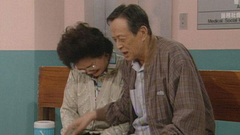 真情 Temporada 1 Episodio 264 Cuevana 3