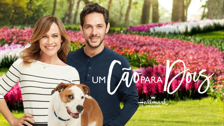 Gallery image from 4B23q6YC8FMc6rGx4nJ7ye6rVjp.jpg